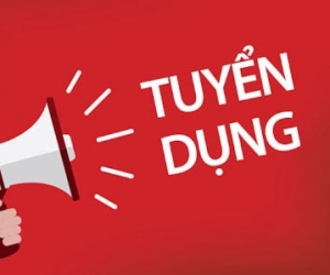 Tuyen Dung Sales Admin